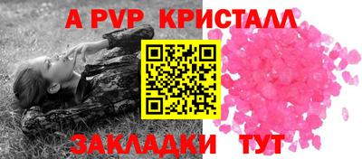 PSILOCYBIN Нальчик