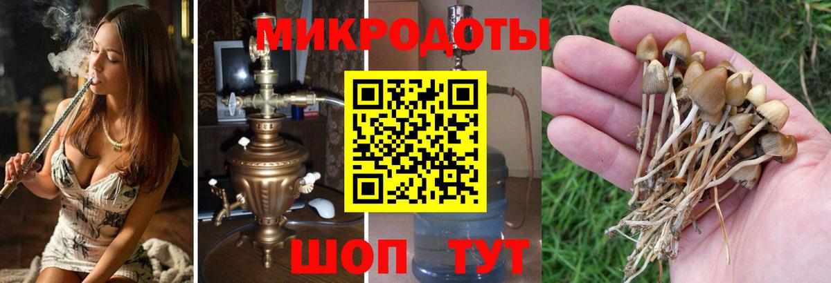 Тавда  Псилоцибиновые грибы мухоморы  Вход с VPN 